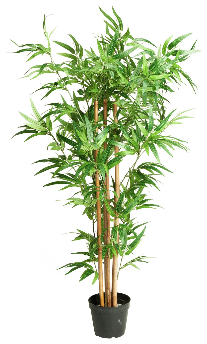 Eden Bloom Artificial Bamboo Tree Reviews