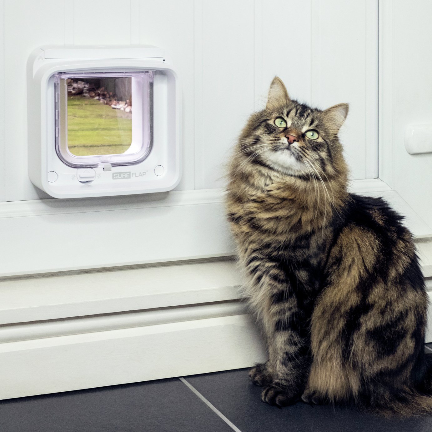 argos cat flap