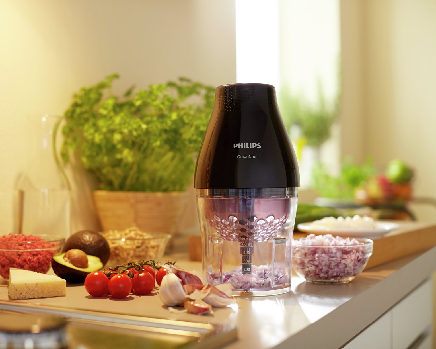 Philips HR2505 Multi Food Chopper Reviews