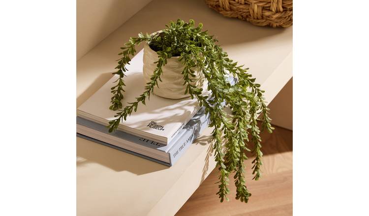 Bayswood Artificial Green Trailing Leaf in Ceramic Pot