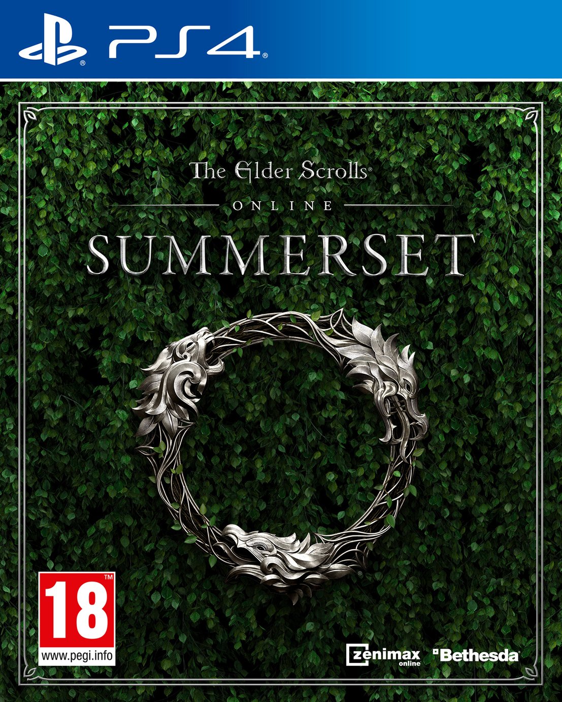 Elder Scrolls Online: Summerset PS4 Game