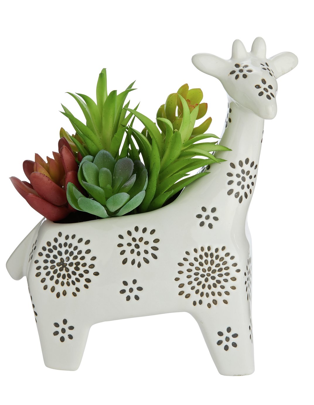 Sainsbury's Home Giraffe Succulent Pot review