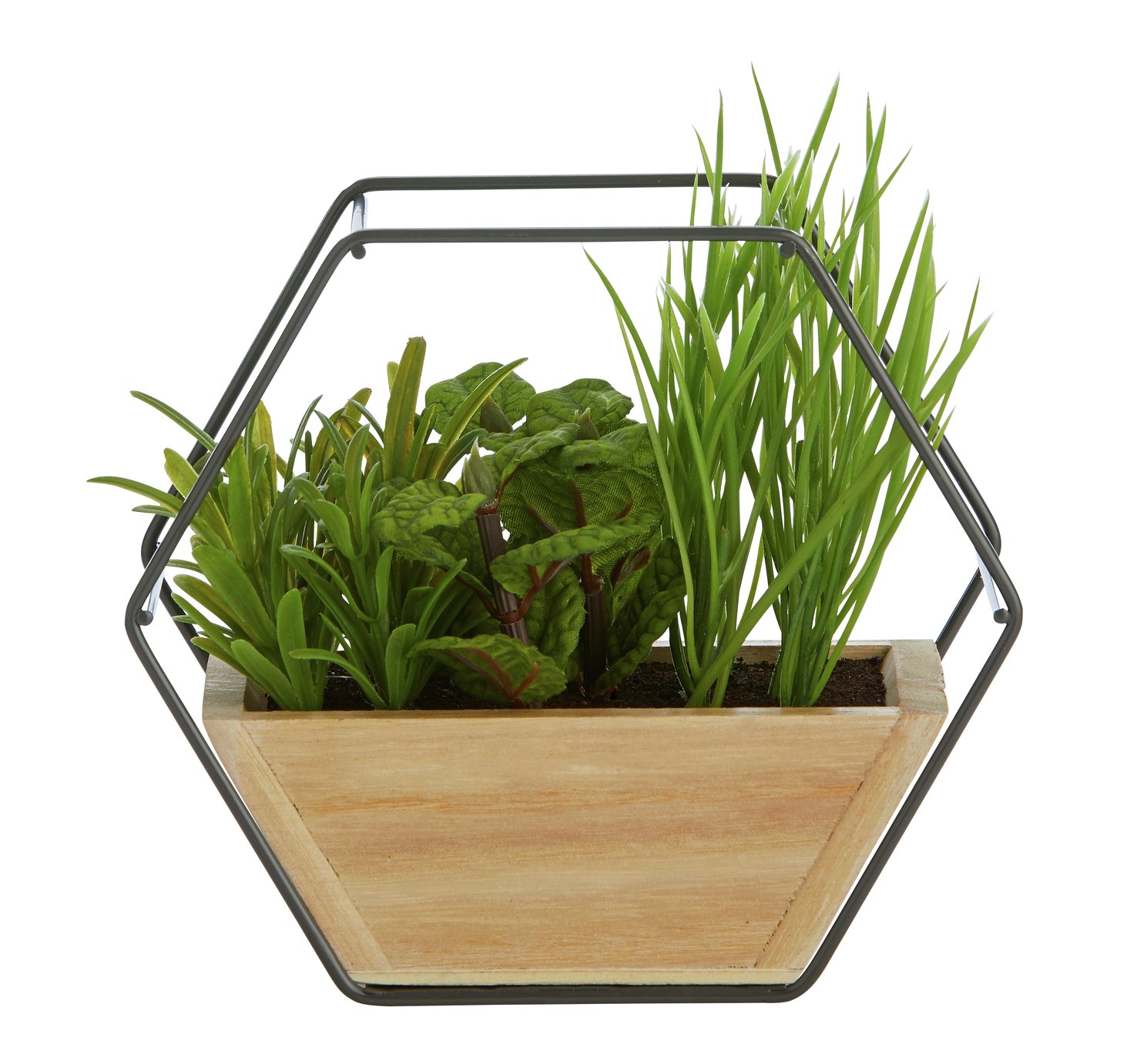 Sainsbury's Home Botanist Faux Terrarium review