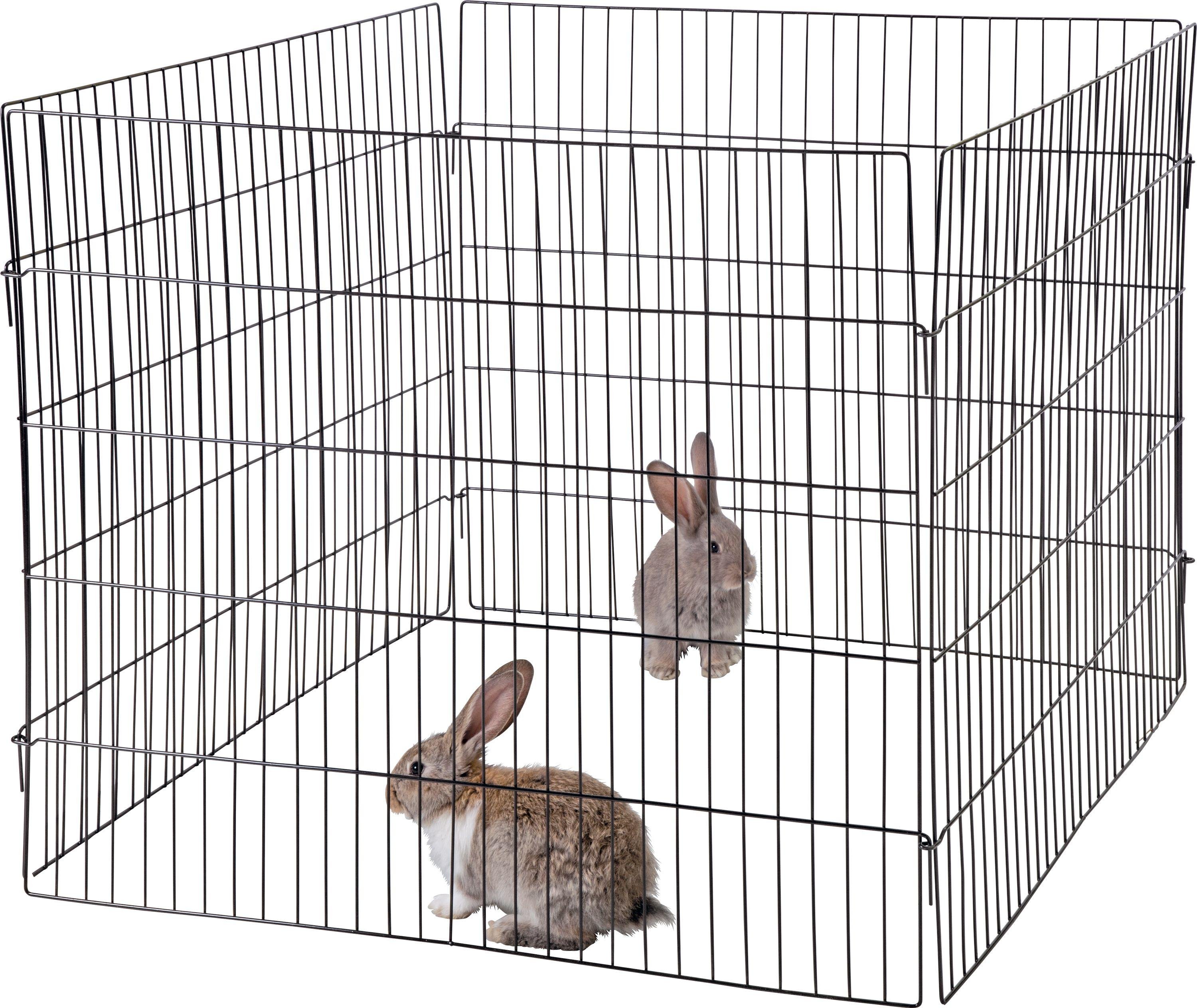 guinea pig playpen argos