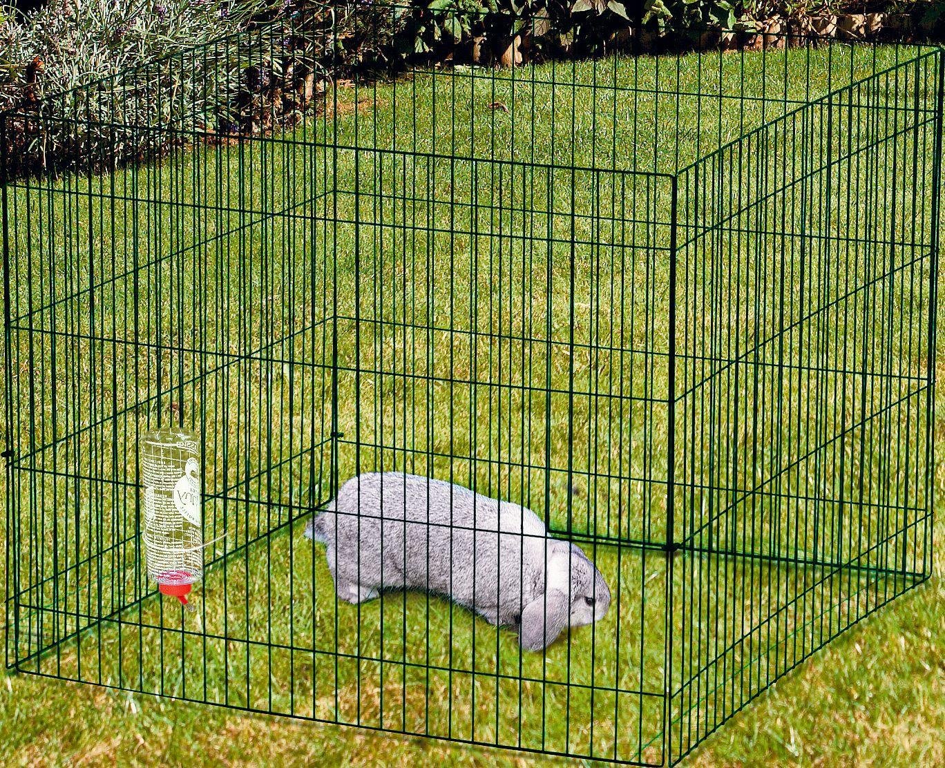 argos rabbit hutch