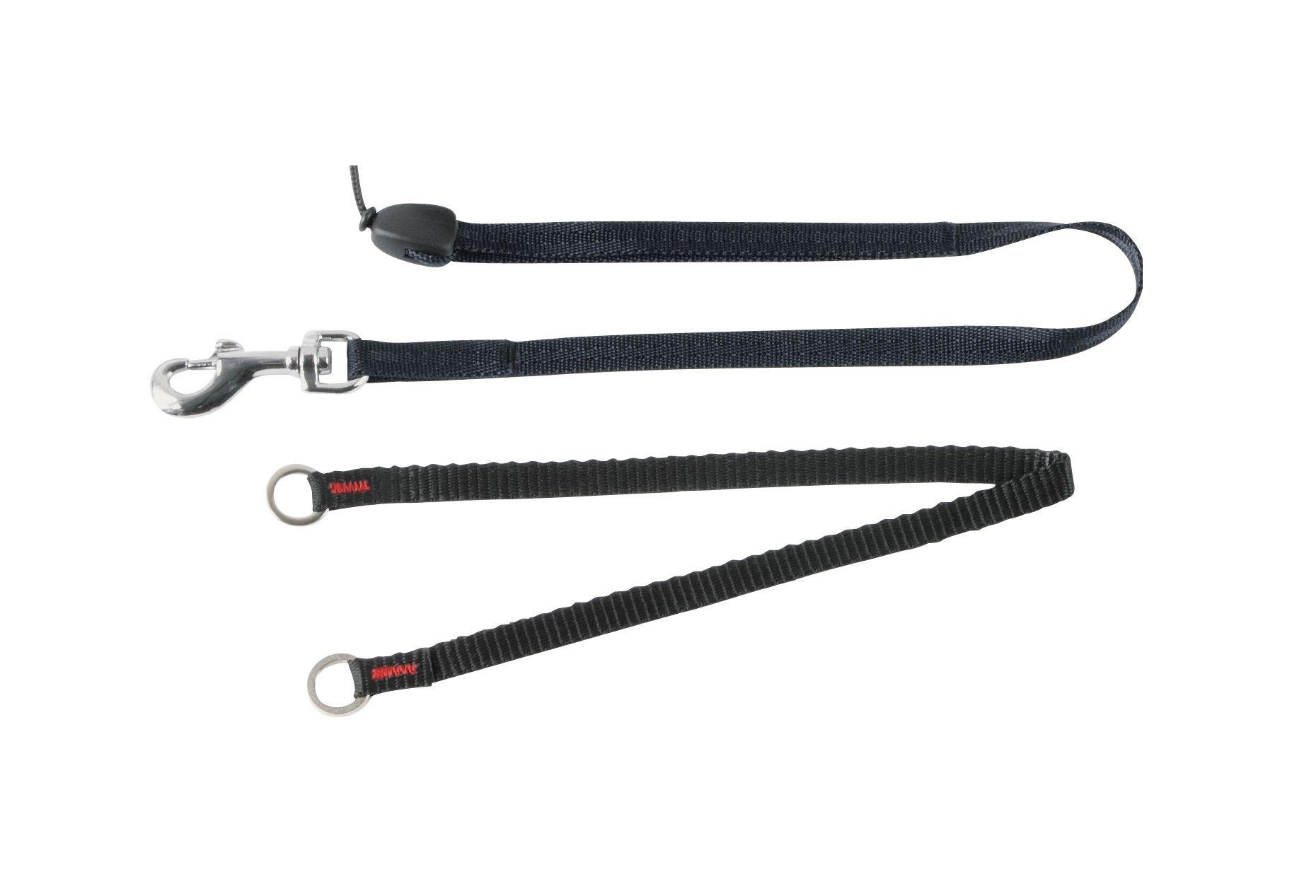 argos retractable dog leads