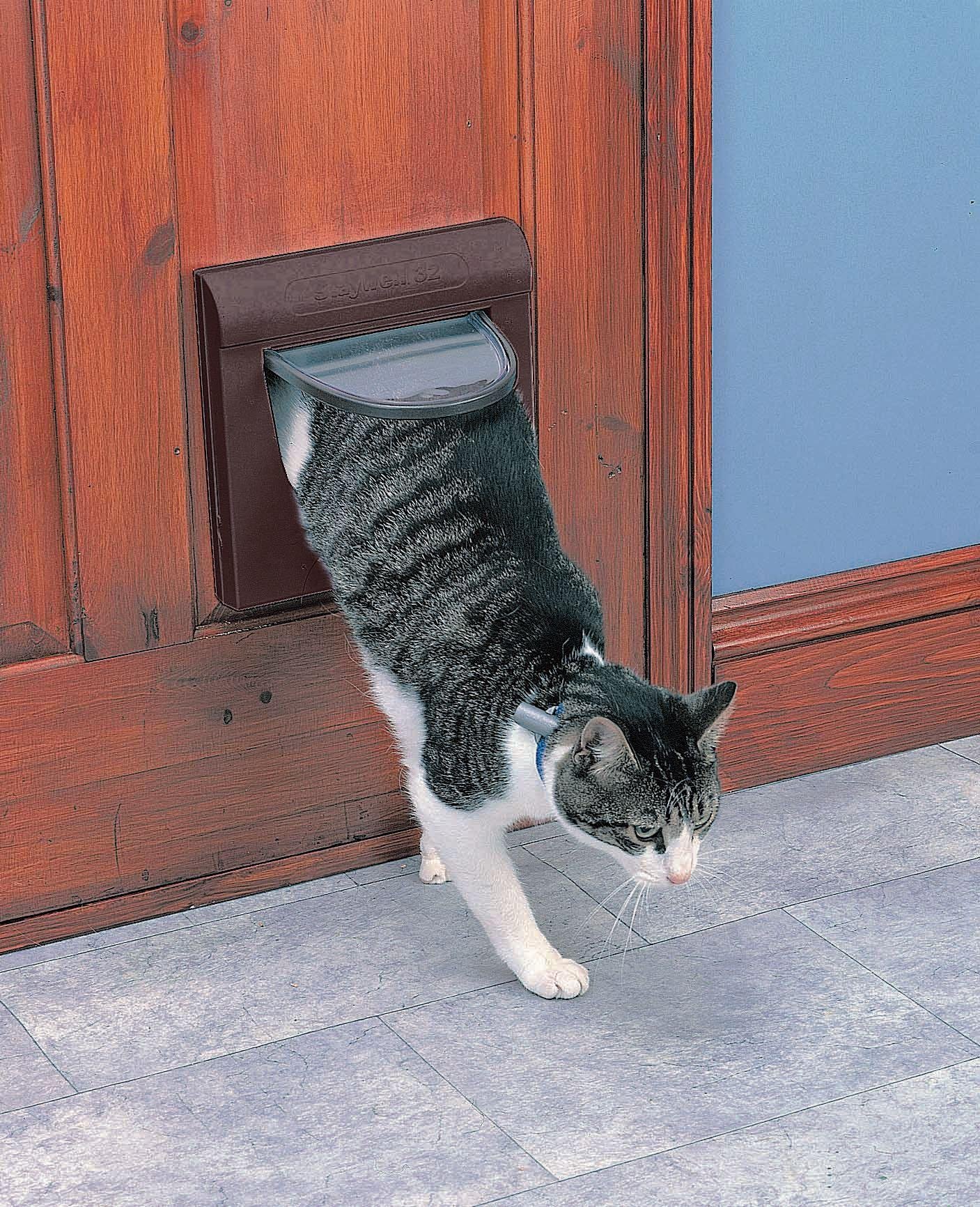 PetSafe Staywell Classic 4 Way Locking Cat Flap review 8.8 / 10