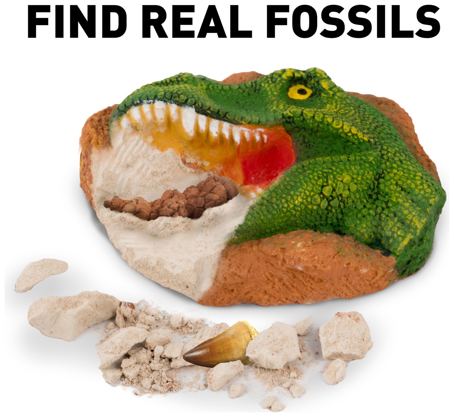 National Geographic Dino Fossil Dig Kit Review