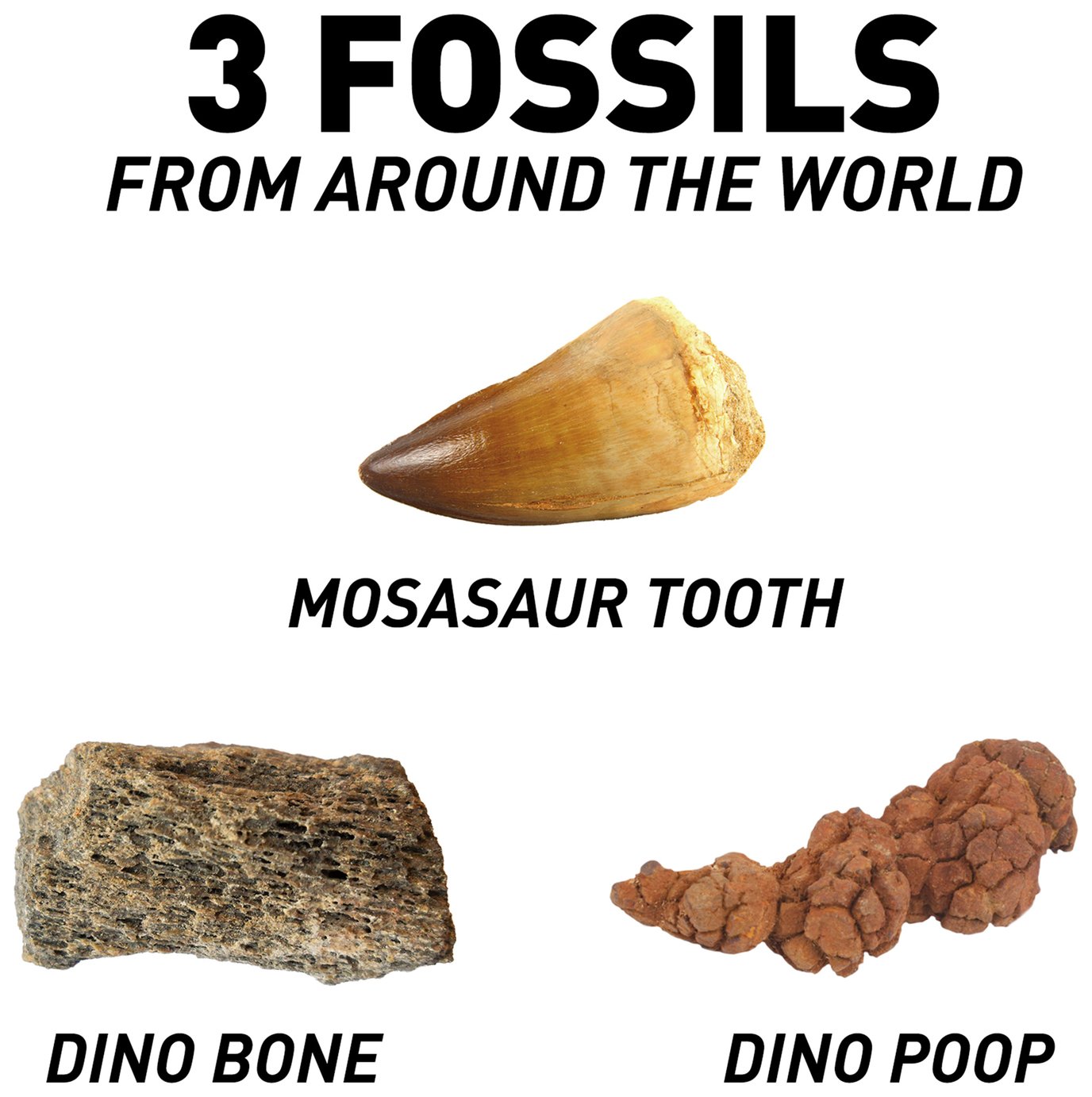 fossil dig kit national geographic