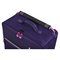 it Luggage Worlds Lightest 2 Wheel Cabin Suitcase Purple
