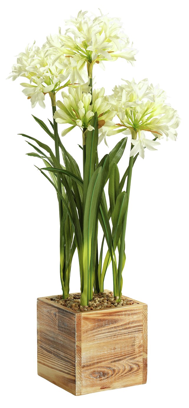 Argos Home Faux Agapanthus Square Pot