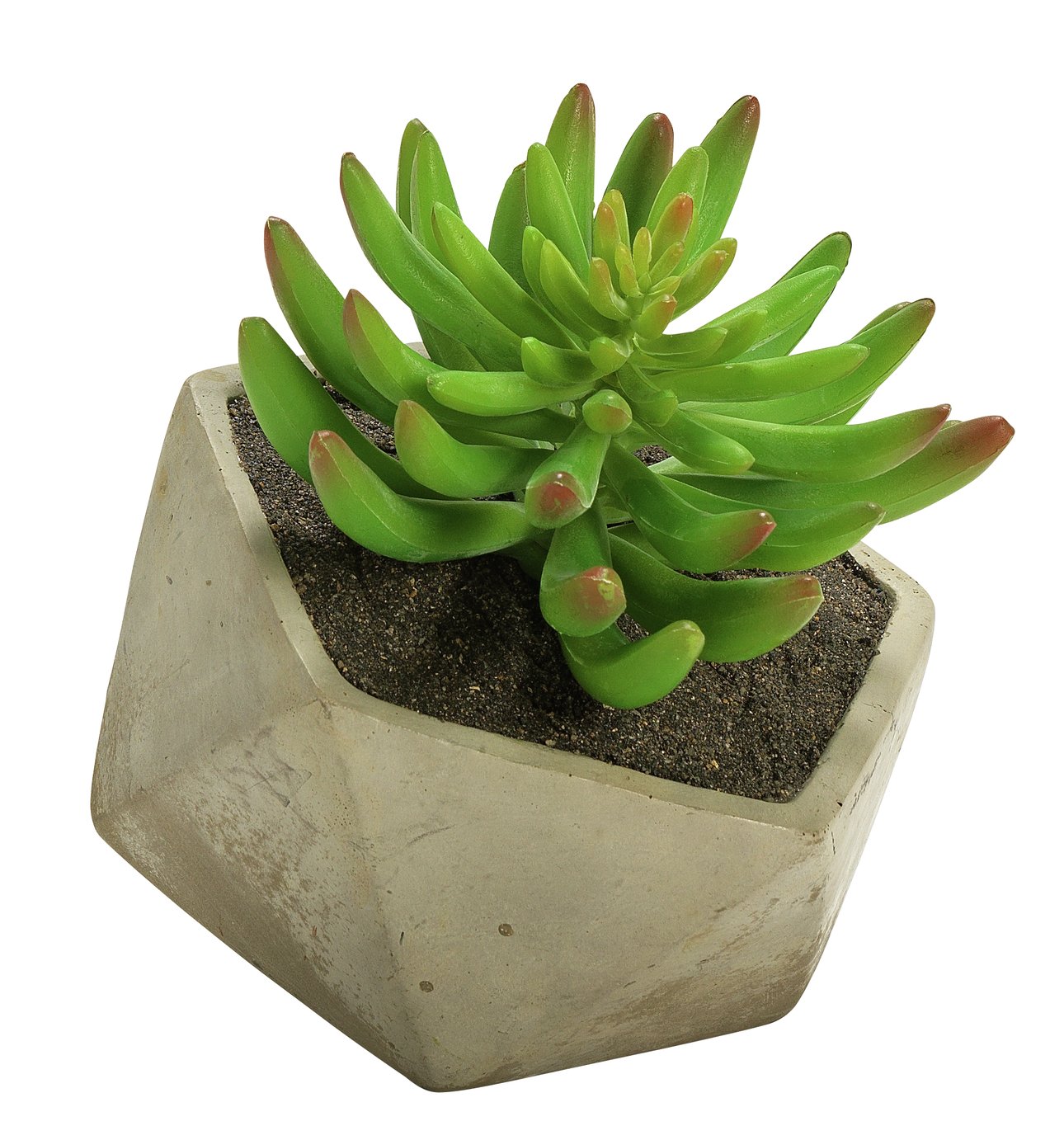 Argos Home Stockholm Faux Succulent in Cement Pot review