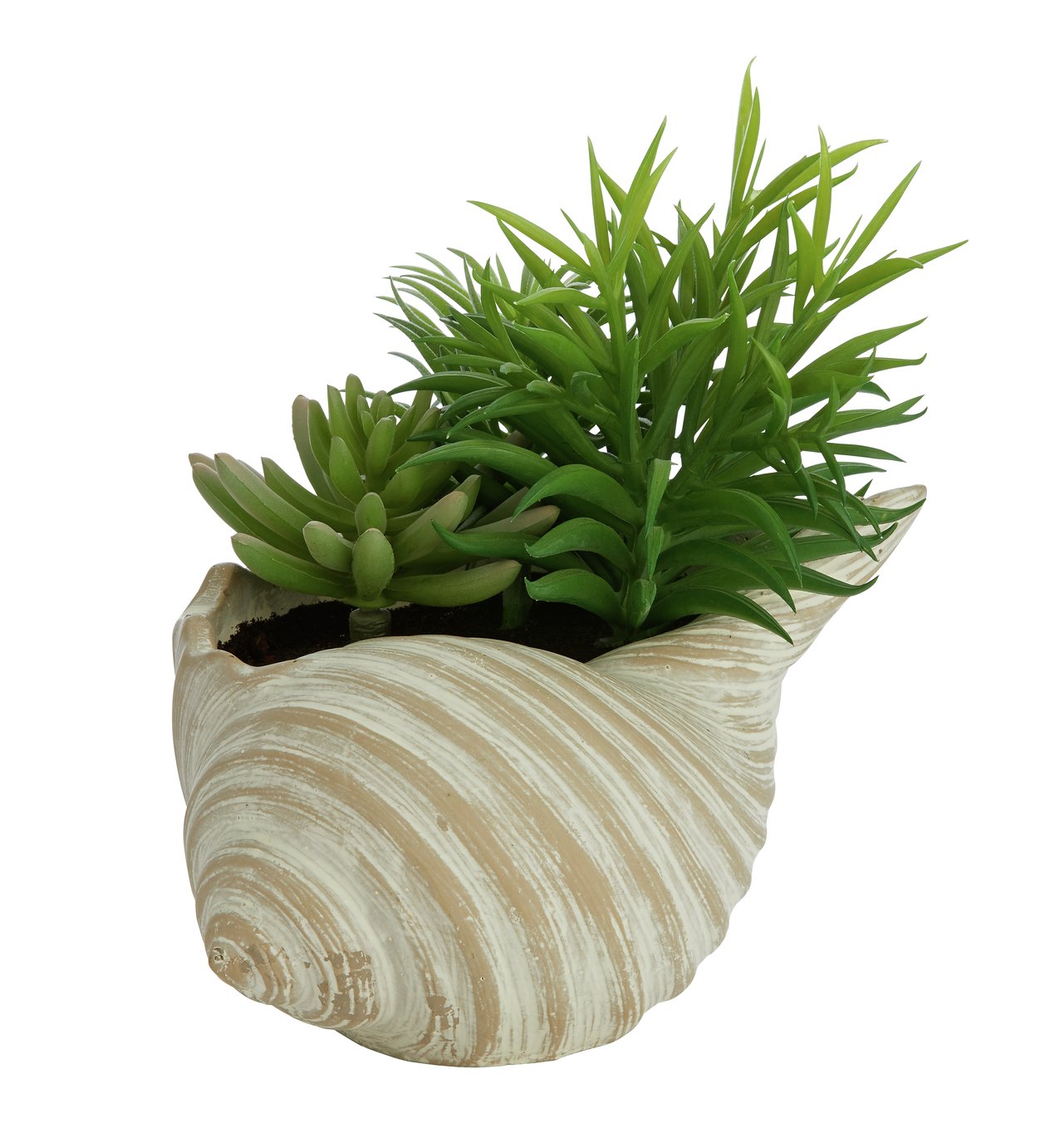 Sainsbury's Home Fossil Shell Faux Floral Reviews