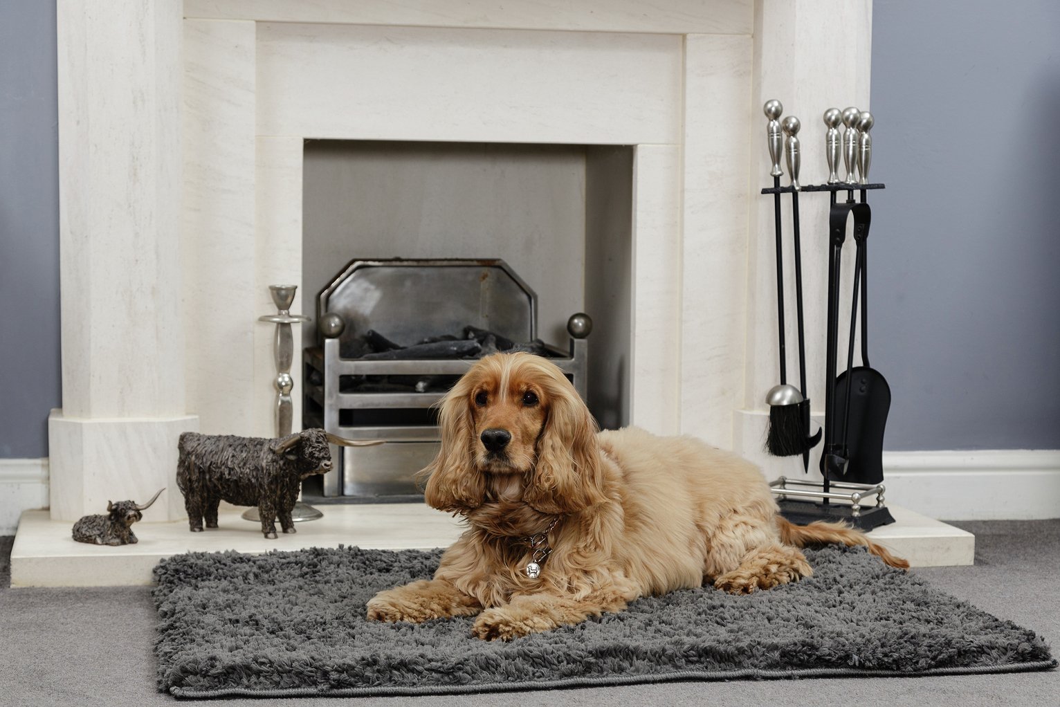 Cosy Rug Pet Rebellion Rug Review