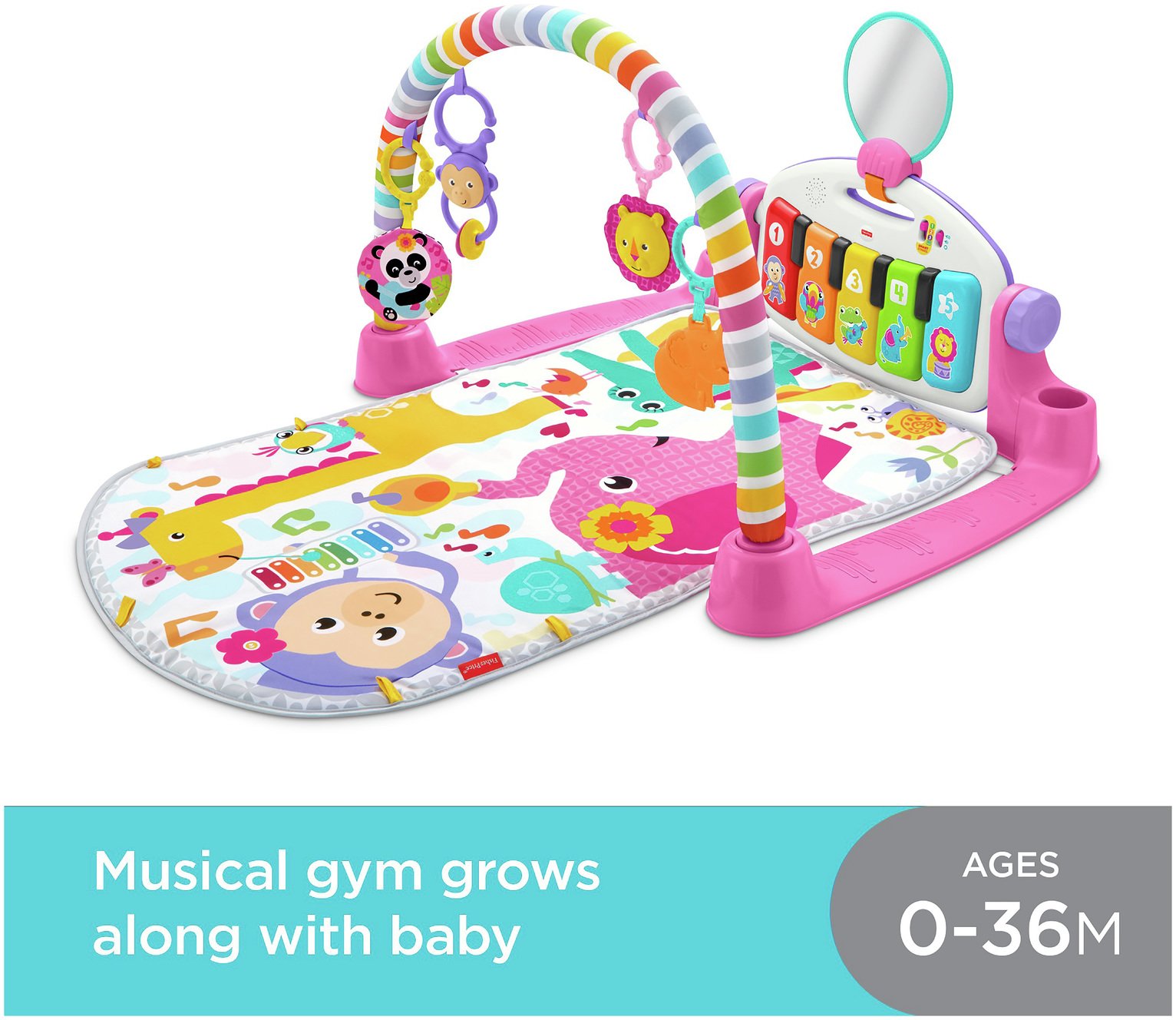 FisherPrice Kick and Play Piano Gym Reviews Updated August 2023