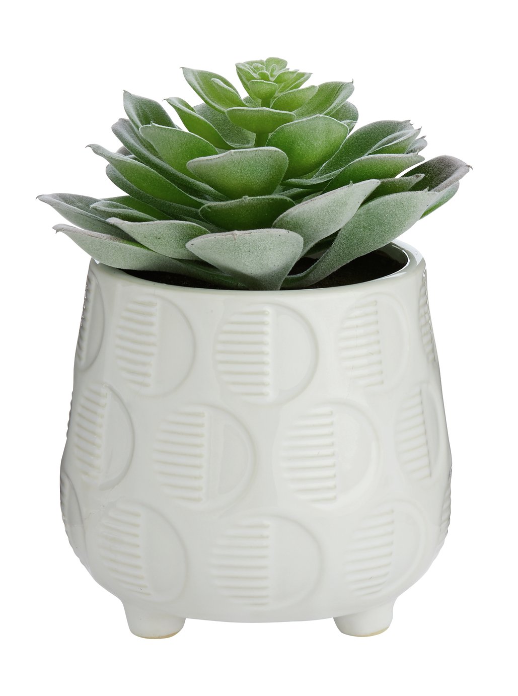 Argos Home Faux Succulent in Ceramic Pot