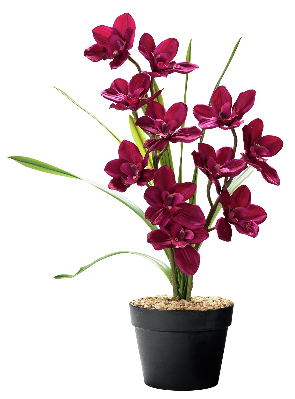 Argos Home Faux Cymbidium in Plastic Pot - Dark Pink