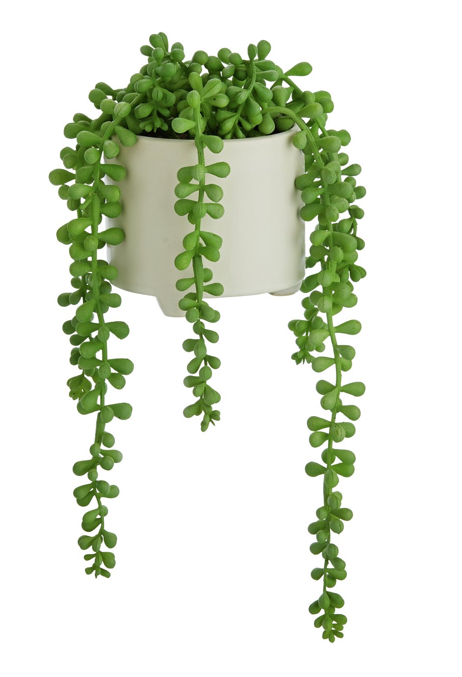 Sainsbury's Home Trailing House Plant Reviews