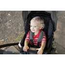 Buy Joie Mirus Scenic Pushchair Ember Prams and pushchairs Argos