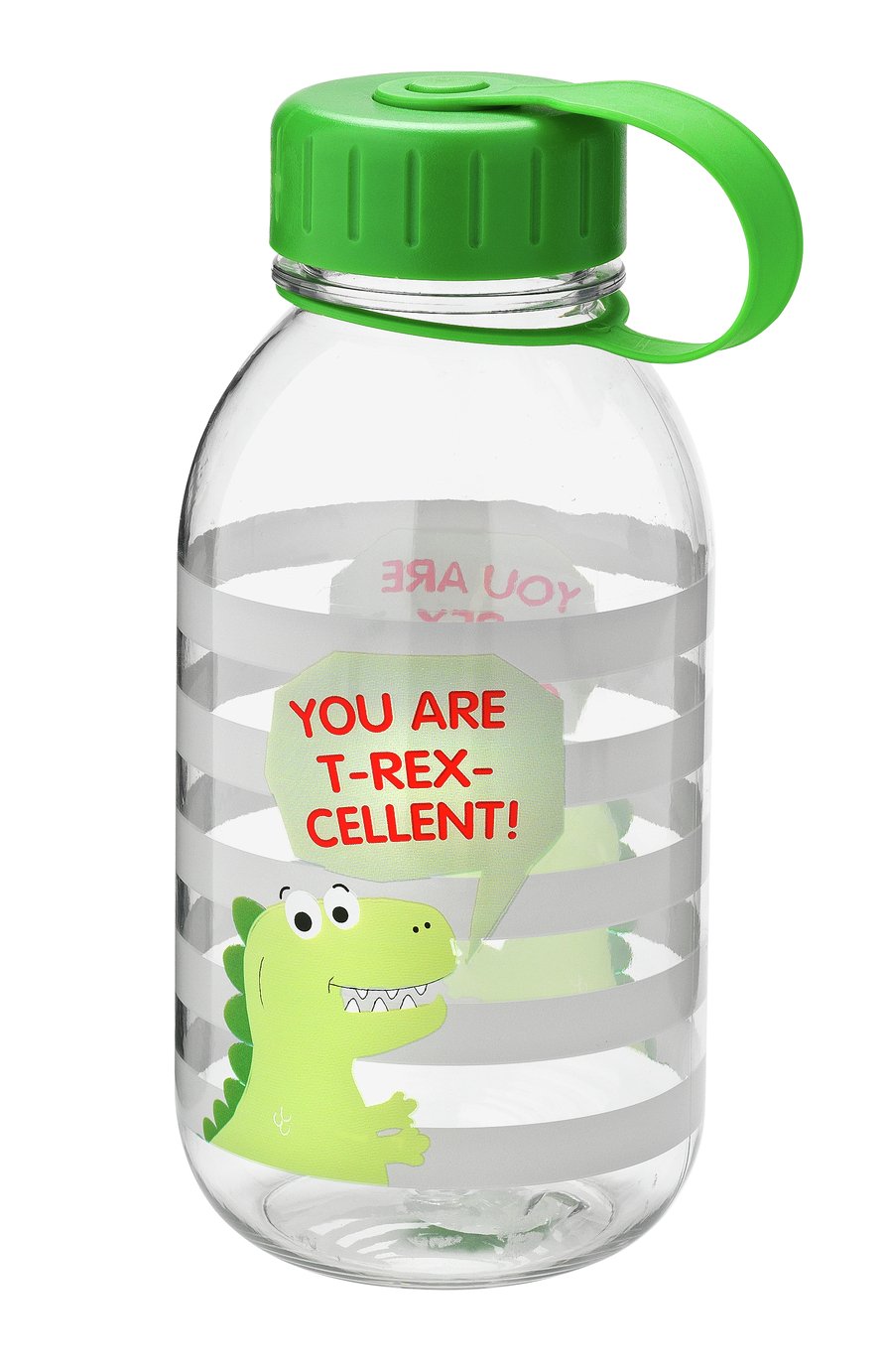 Argos Home Dinosaur Drinks Bottle review