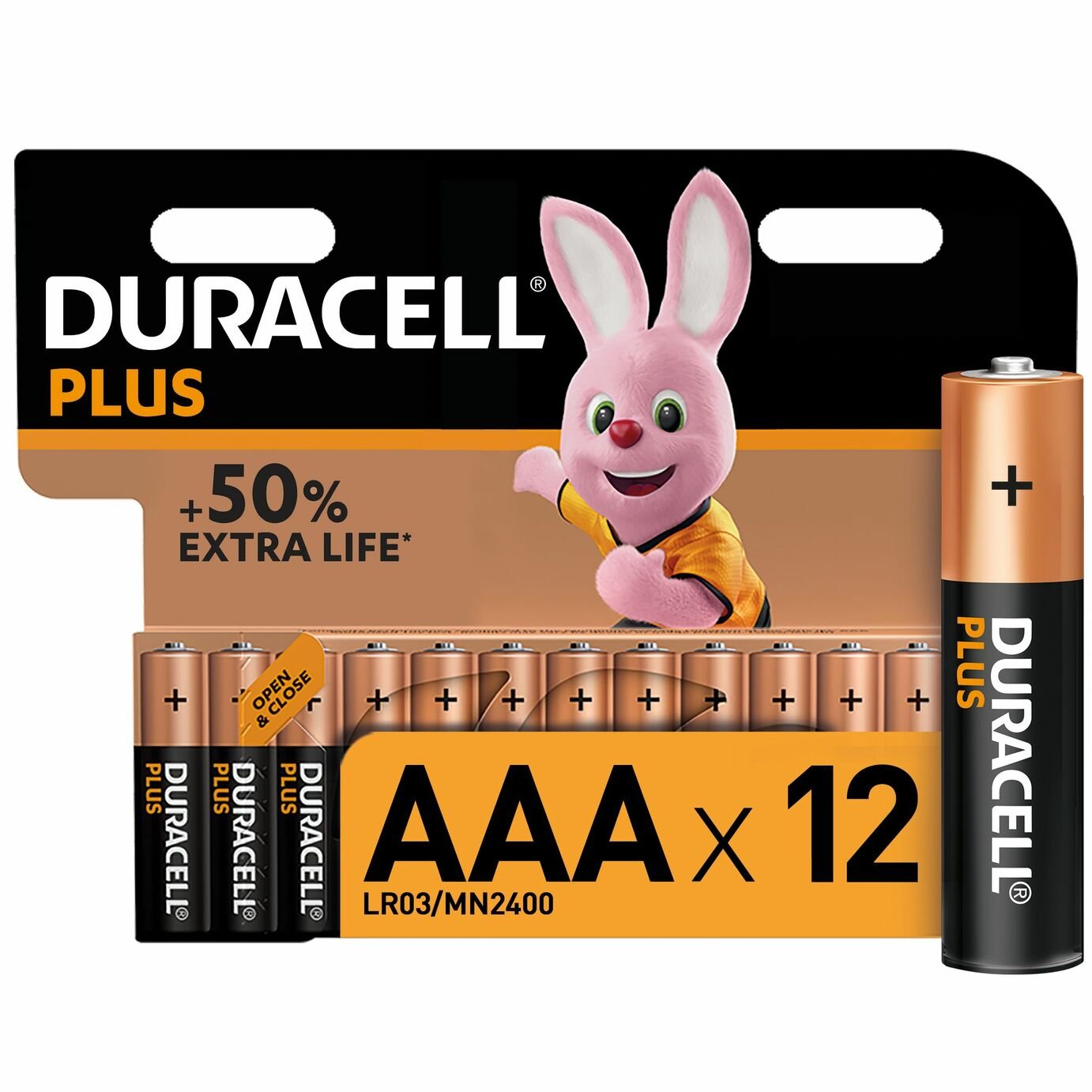 Duracell Plus Alkaline AAA Batteries - Pack of 12