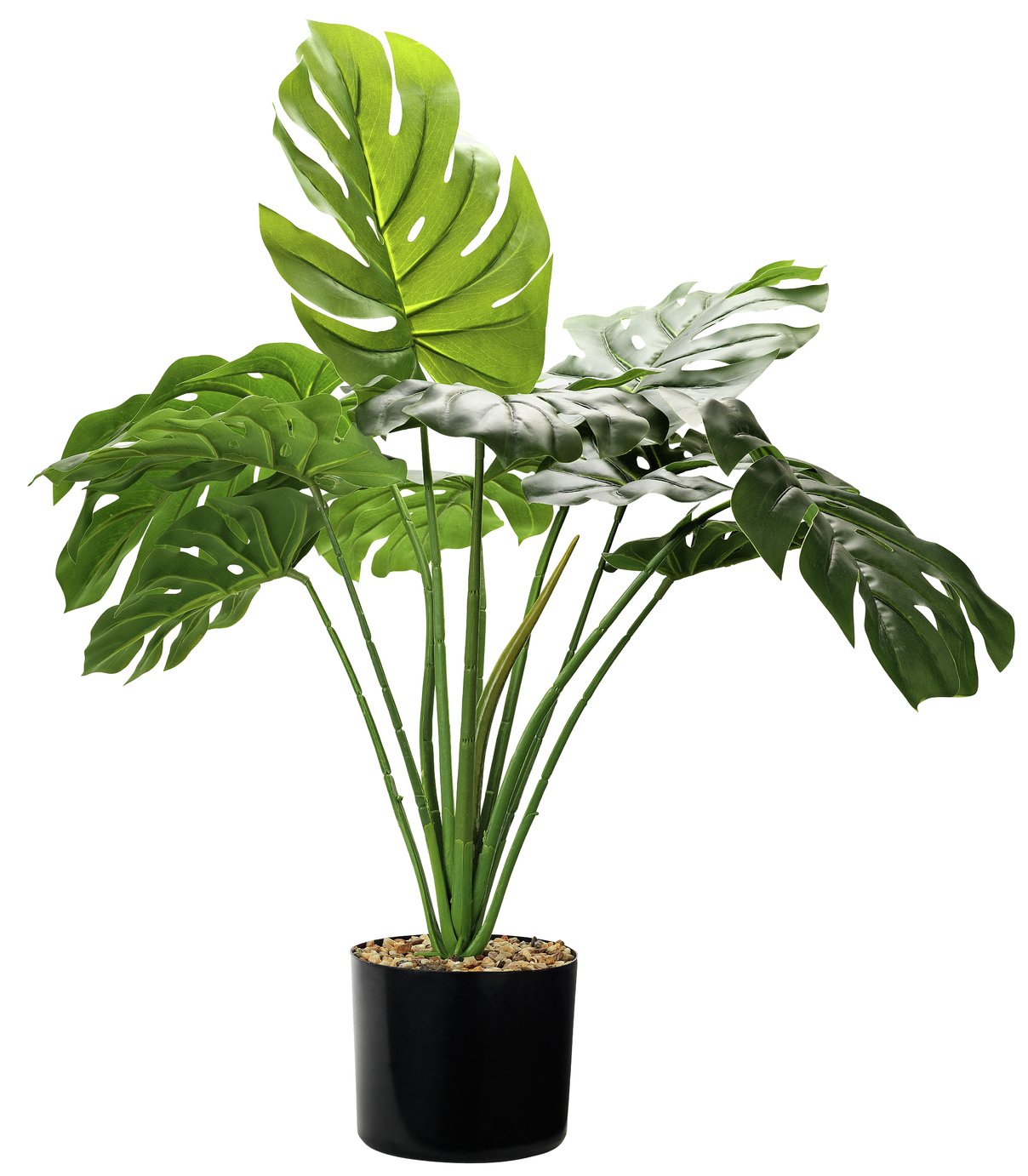 Argos Home Faux Cheese Plant in Plastic Pot