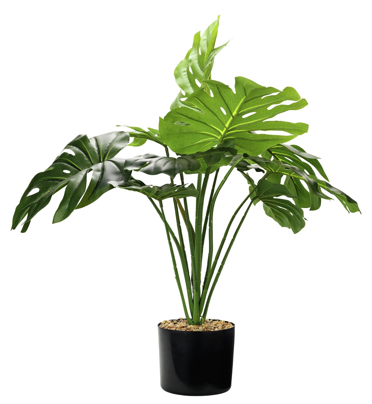Argos Home Faux Cheese Plant in Plastic Pot Reviews