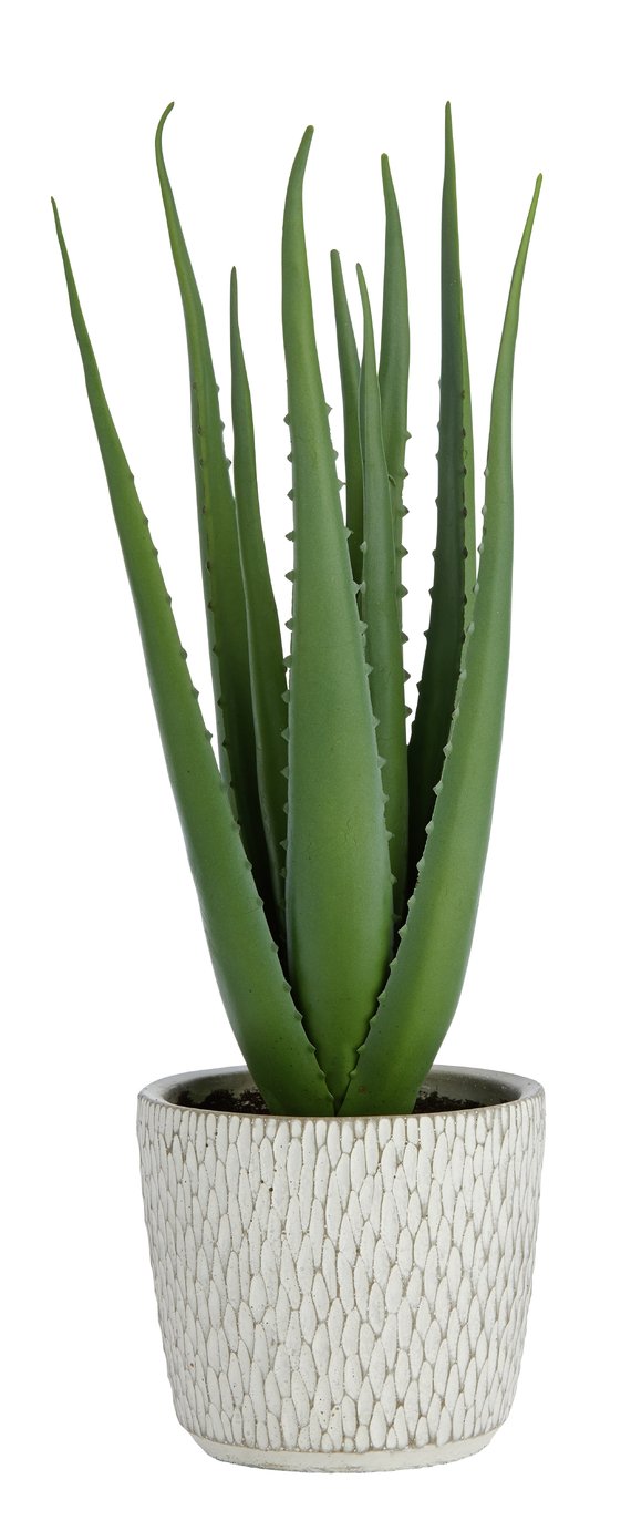 Argos Home Faux Aloe in Ceramic Pot