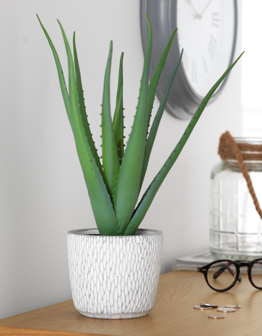 Argos Home Artificial Aloe in Ceramic Pot Review