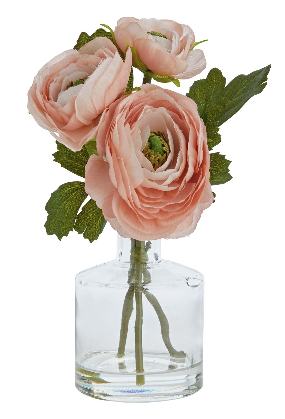 Sainsbury's Home Botanist Pink Ranunculus Arrangement review