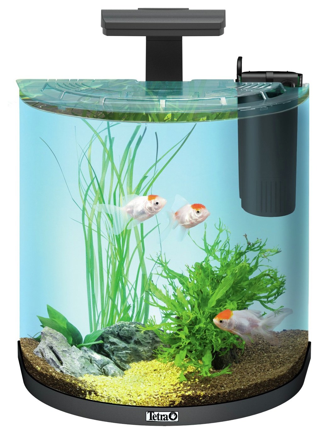 plastic fish tank argos