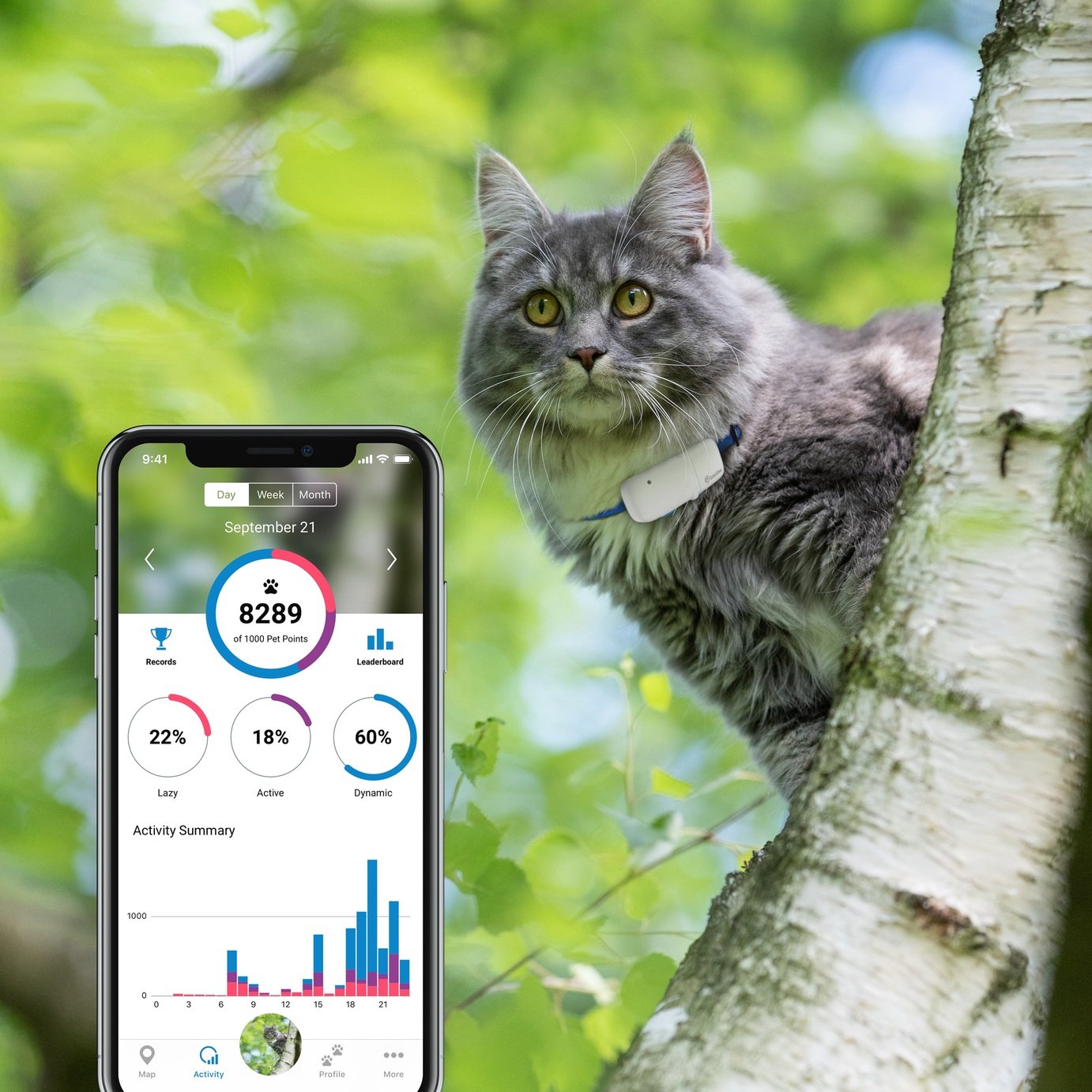 Buy Tractive Ikati GPS for Cats | Cat 