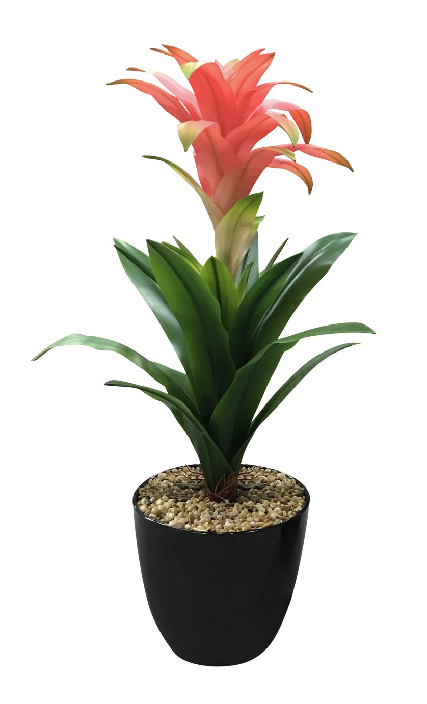 Argos Home Rainforest Faux Star Scarlet Tropical Plant