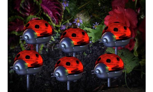 Sainsburys Solar Ladybird Stake Lights Set of 6 Honduras Ubuy