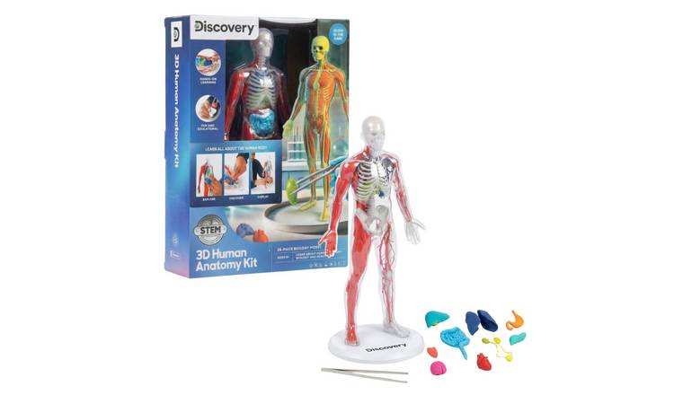 Discovery 3D Human Anatomy Kit
