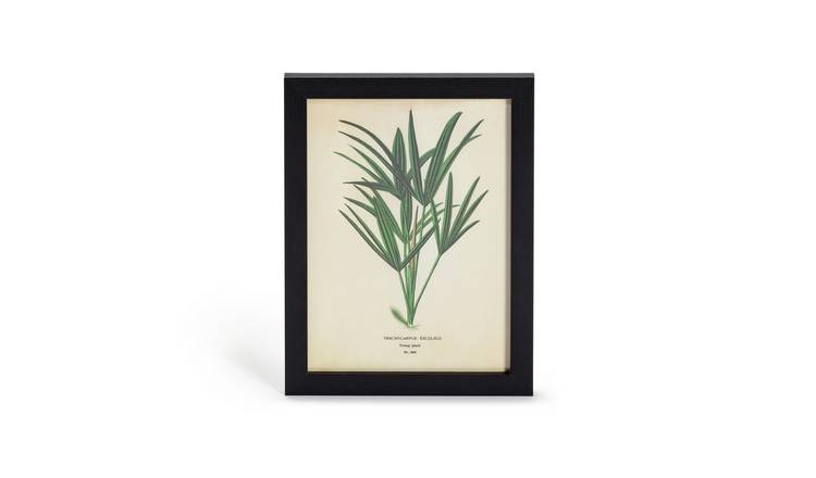 Habitat Eden Fern Leaf Framed Print - 35x26cm