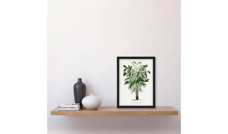 Oswald De Kerchove Astrocaryum Murumuru Palm Tree Framed Art Print - A4