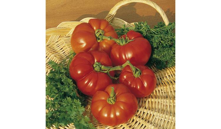 Unwins Tomato Seeds 'Marmande' - 70 Seeds