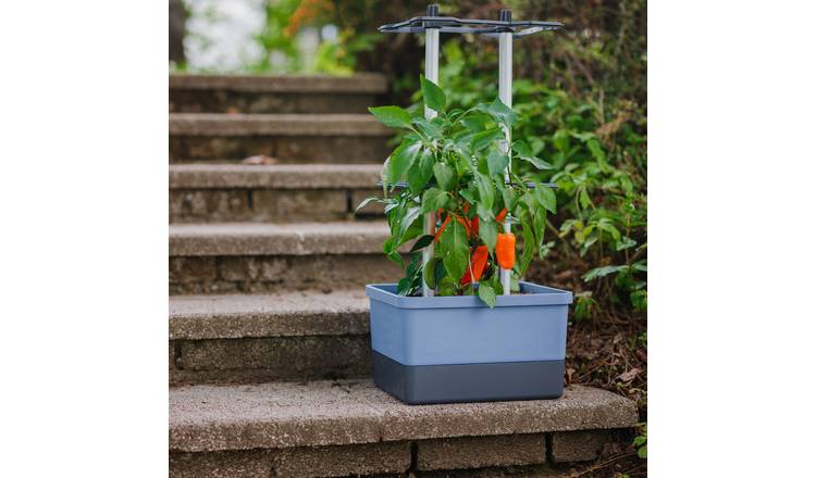 Gusta Garden Charly Chili Self-Watering Chilli Pot with Climbing Aid - Blue