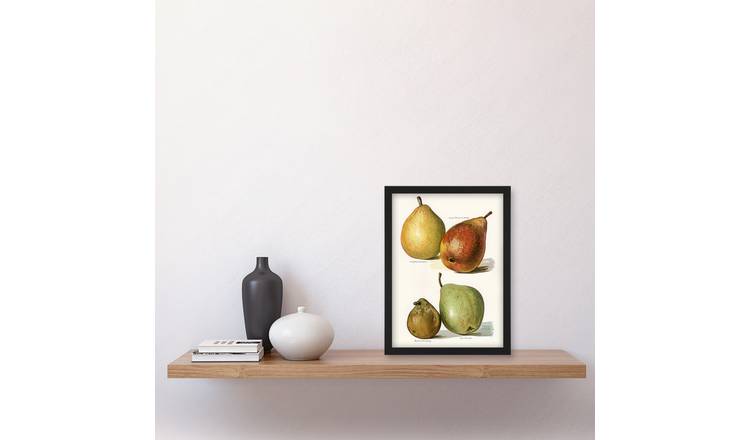 John Wright Four Pear Varieties Vintage Illustration Framed Art Print - A4