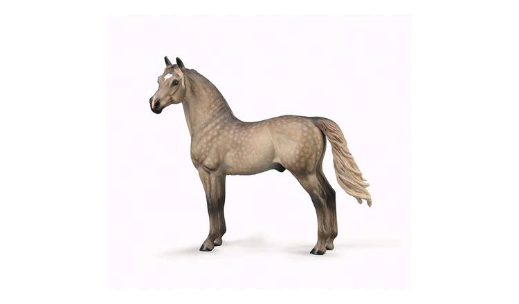CollectA Morgan Stallion - Silver Grulla - 3 Years +