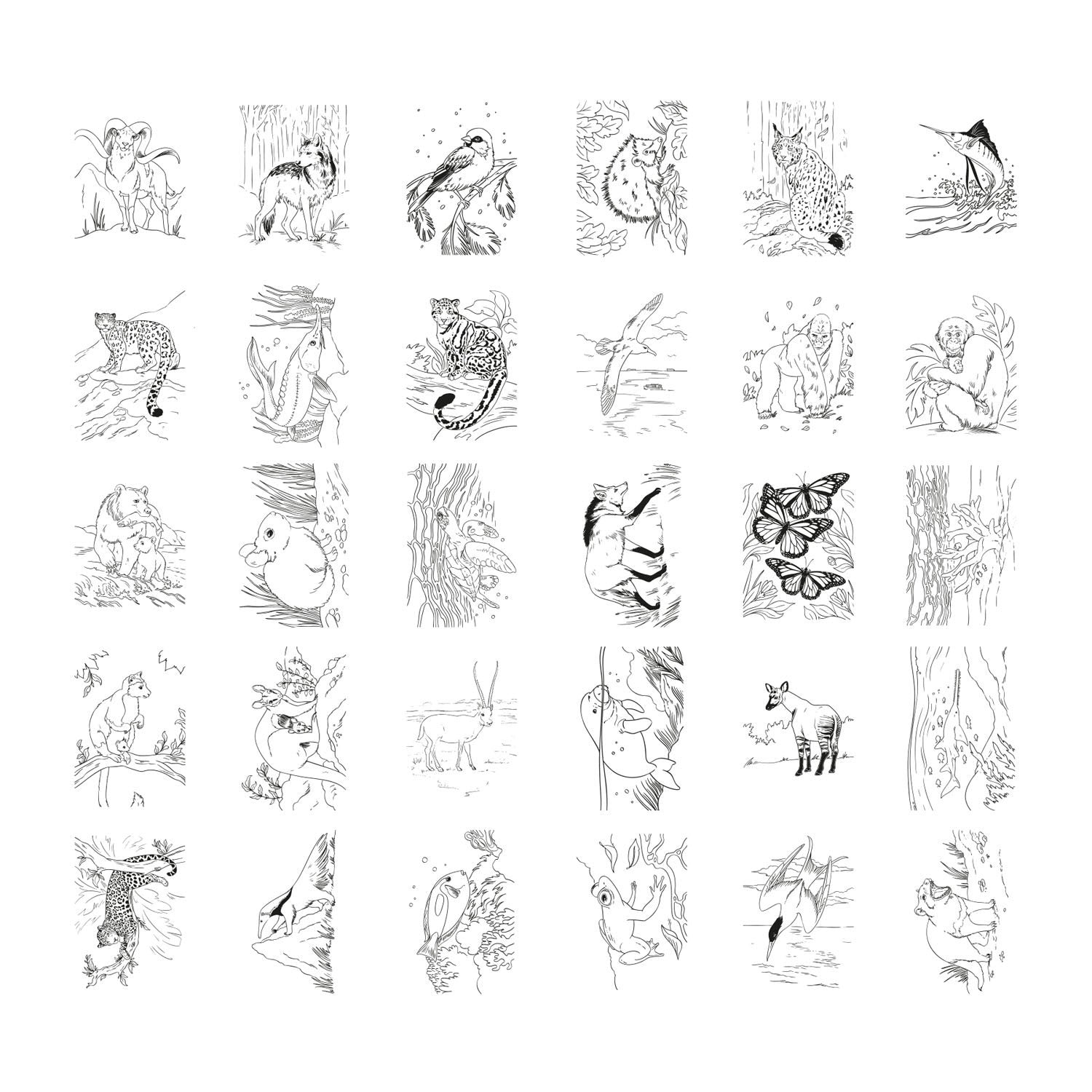 KIDYWOLF KIDYDRAW PAD Illuminated Drawing PAD - Animals - Image 6