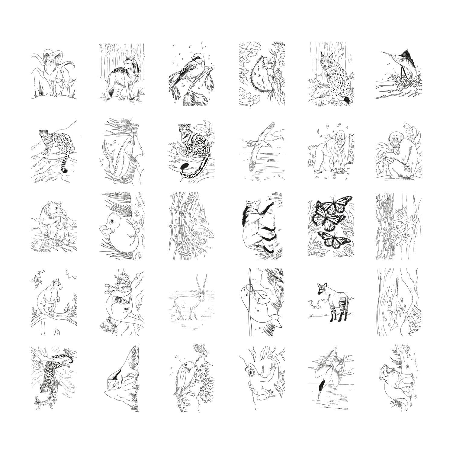 KIDYWOLF KIDYDRAW PAD Illuminated Drawing PAD - Animals - Image 6