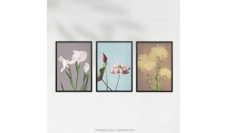 Vintage Japanese Floral Botanical Flowers Set Of 3 Wall Art Poster Pack - A4