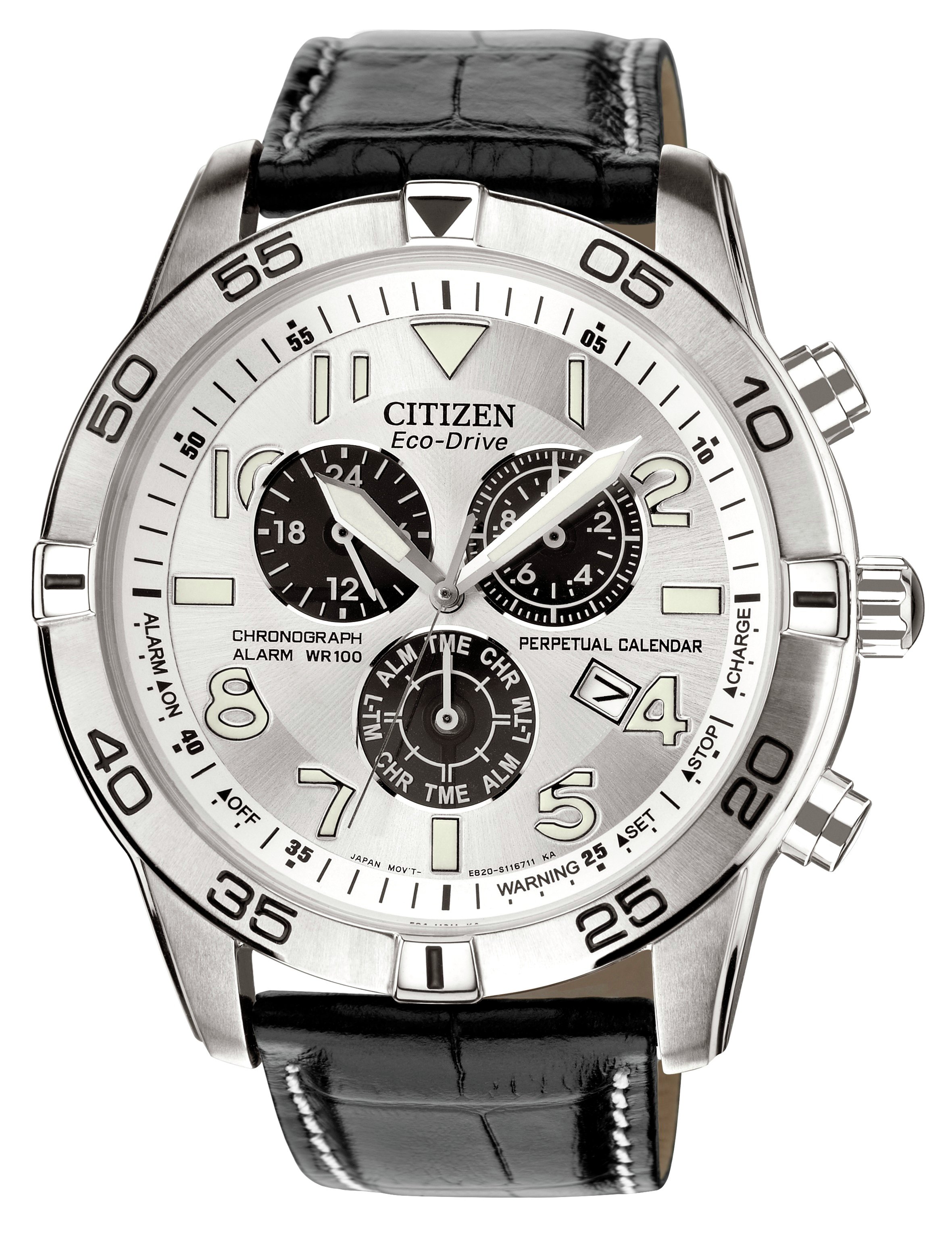 Citizen EcoDrive Men's Black Strap Perpetual Calendar Watch (9157332