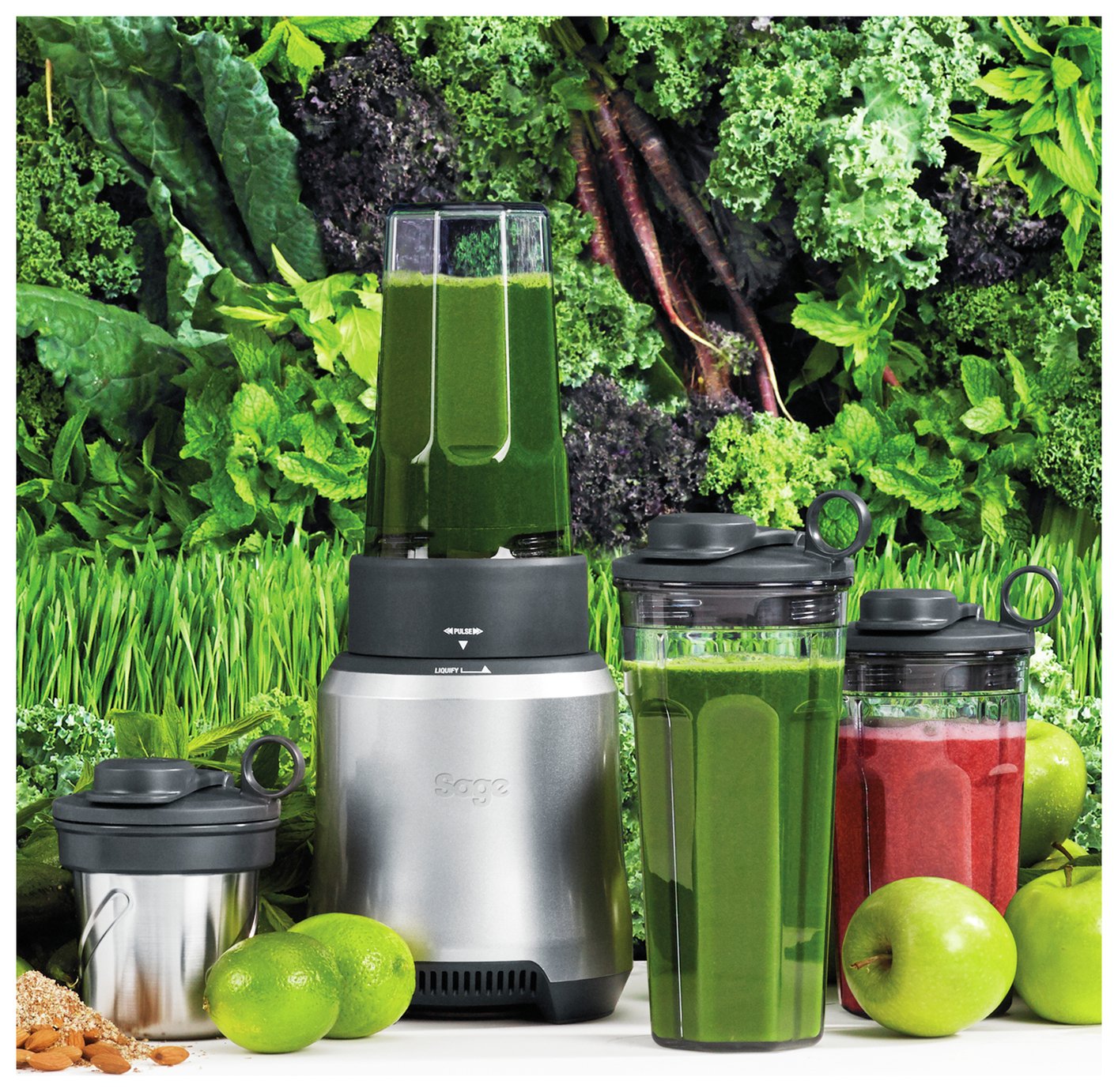 Sage 2 Piece Personal Nutri Blender Reviews