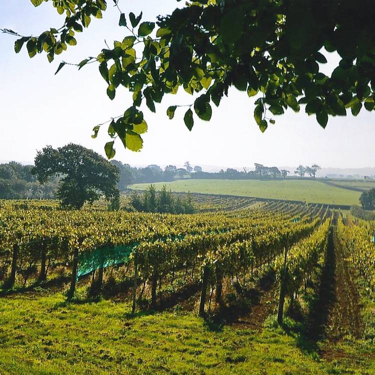 Buyagift Wine Or Beer Tasting For Two Gift Experience 0