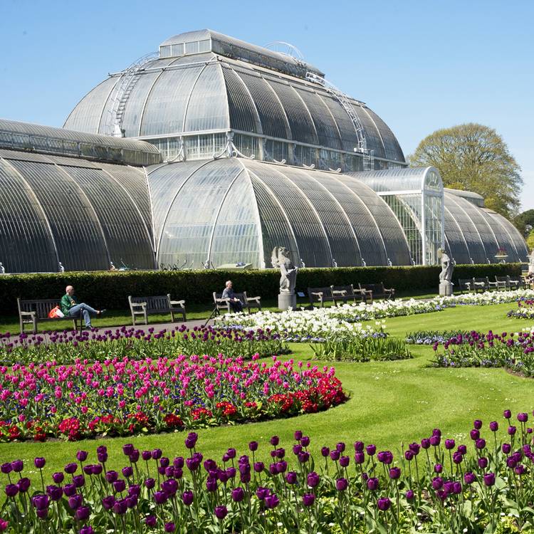 Buyagift Visit To Kew Gardens And Palace For Two Experience 0