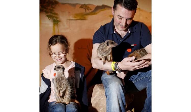 Buyagift 2 for 1 Meet The Meerkats Experience