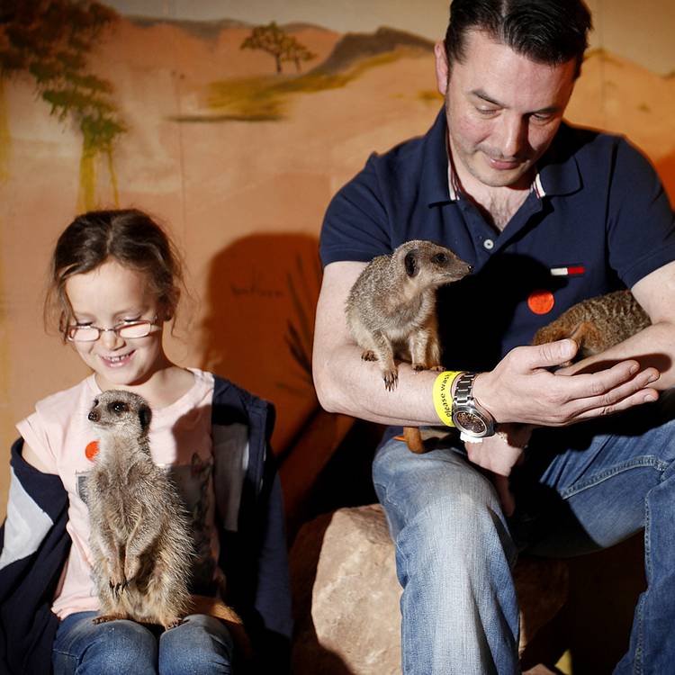Buyagift 2 for 1 Meet The Meerkats Experience 0